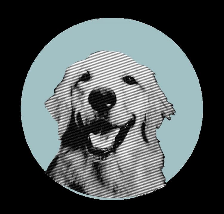 Dog Avatar